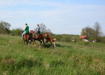 pohod_sebastijan11
