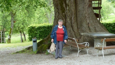 210