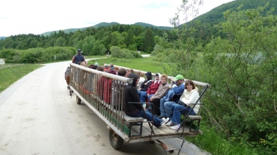 Kopija od 251