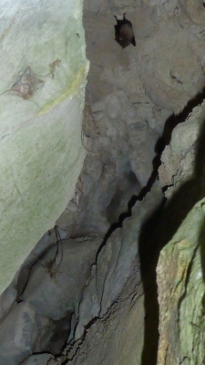 P1030268